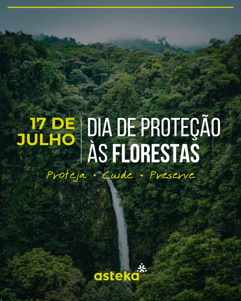 17 de Julho: Dia de Proteção às Florestas – Asteka Ambiental